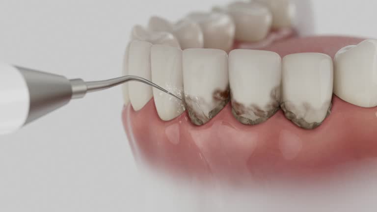 Reliable Dental contractor in White Sulphur Springs, MT by Dentist Open Now